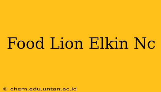 Food Lion Elkin Nc